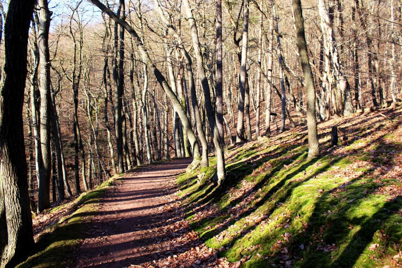 Burghof Kyffhaeuser Bad Frankenhausen Luaran gambar