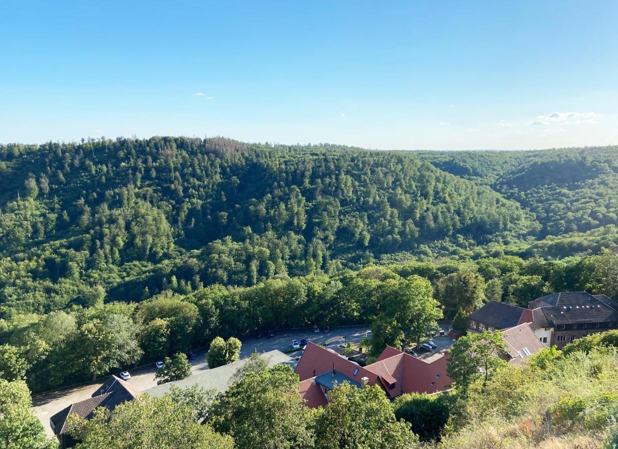 Burghof Kyffhaeuser Bad Frankenhausen Luaran gambar