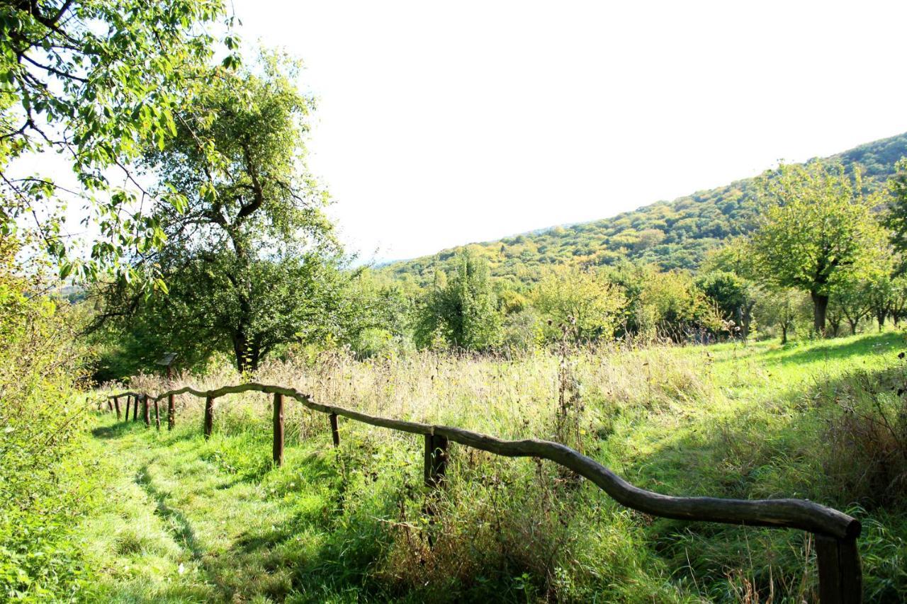 Burghof Kyffhaeuser Bad Frankenhausen Luaran gambar