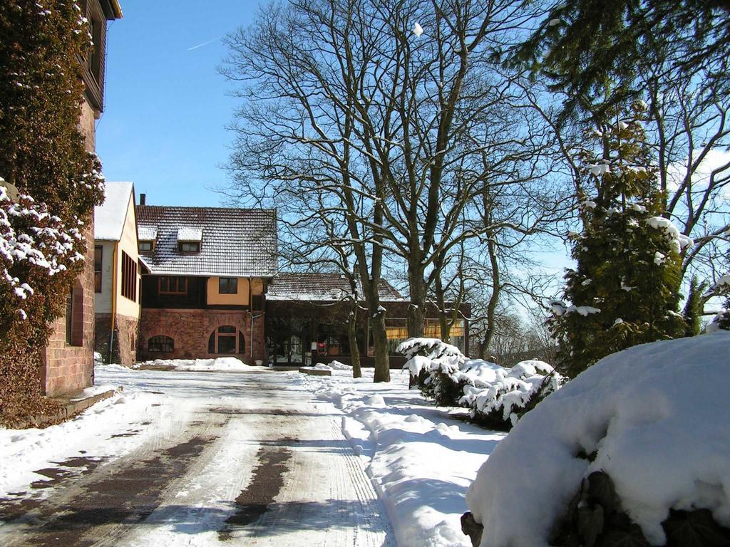 Burghof Kyffhaeuser Bad Frankenhausen Luaran gambar